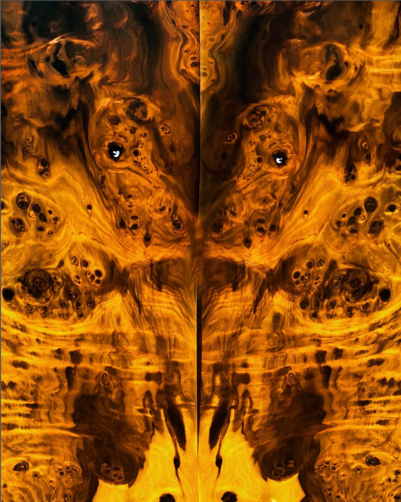 Ambient Bodies
